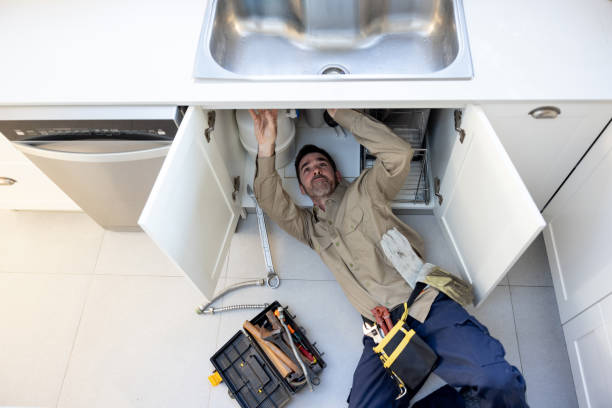 Best Water Softener Installation  in Las Palmas Ii, TX